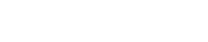 brunswick welleness white logo